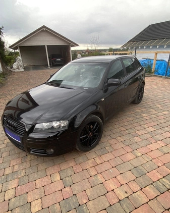 Audi A3 cena 19900 przebieg: 310000, rok produkcji 2006 z Dąbie małe 106
